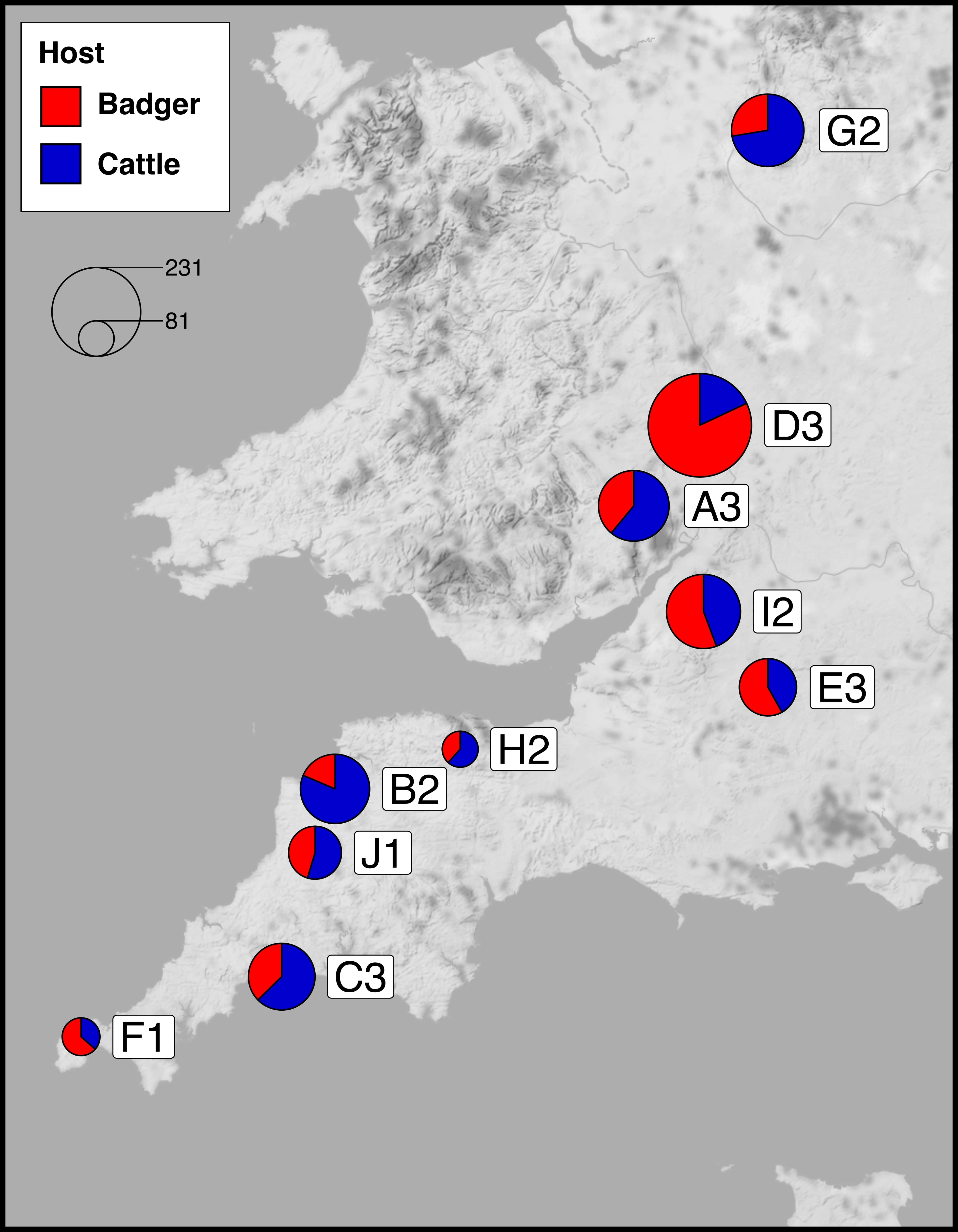 RBCT-map